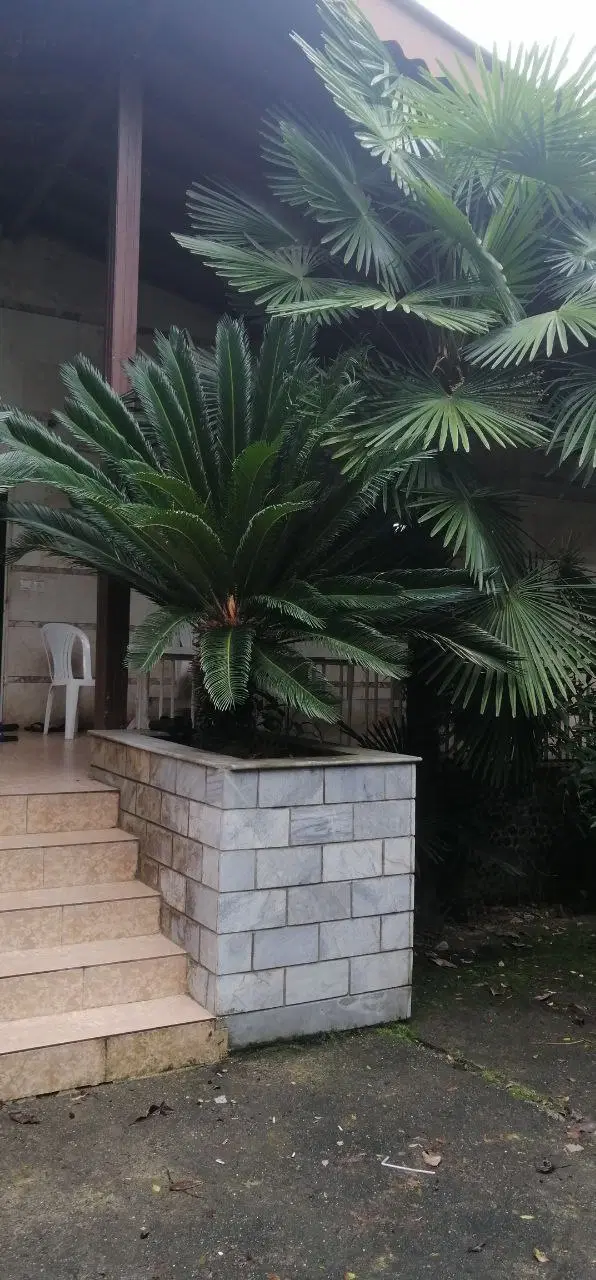 فروش خانه ویلایی ۸۰متری به همراه ۲۱۵متر محوطه