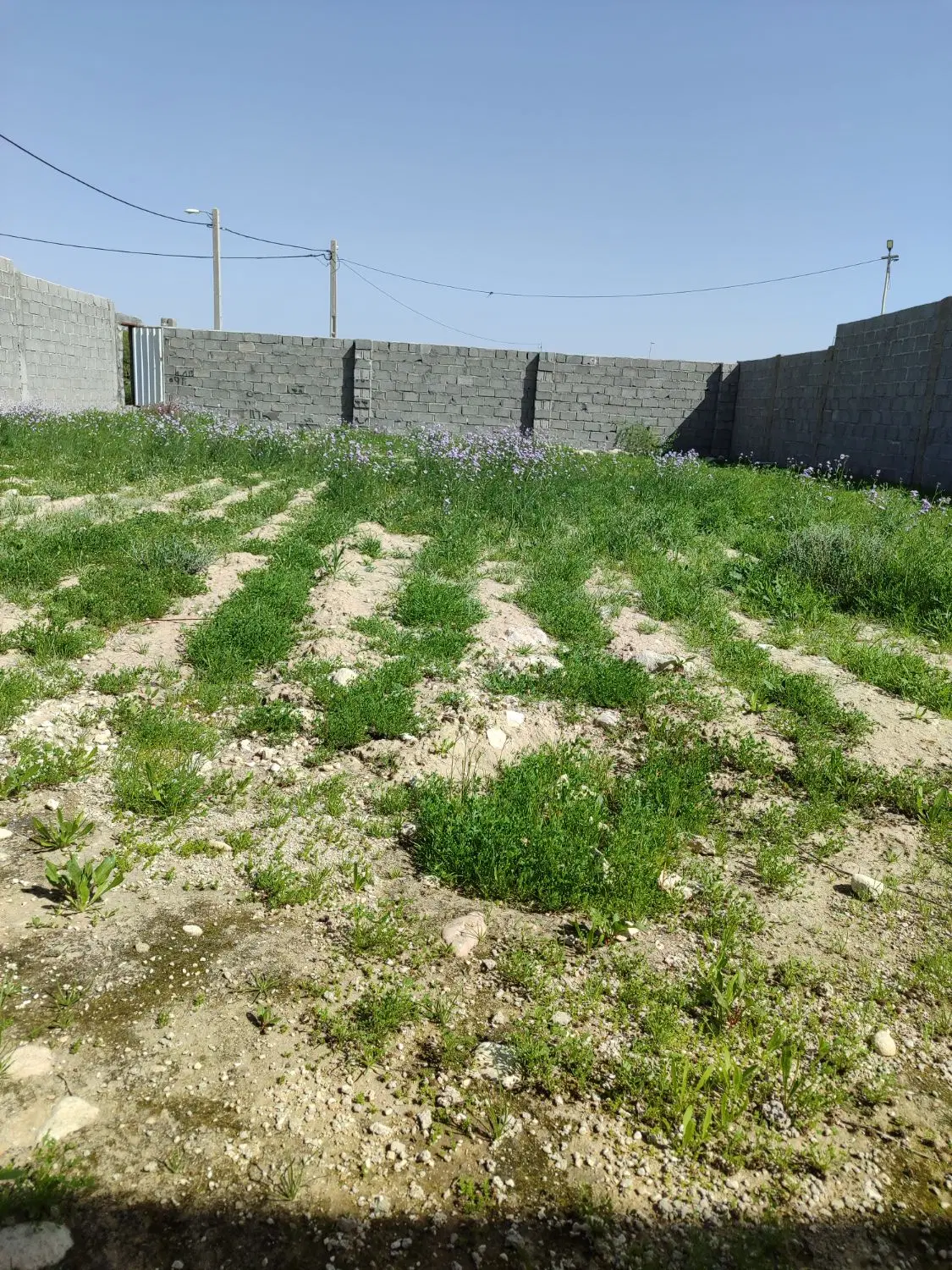 زمین400متری دارای بلوک کشی