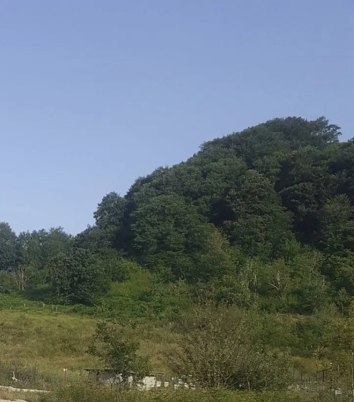 ۴۵۰ متر زمین واقع در ورودی مزرعه قوها