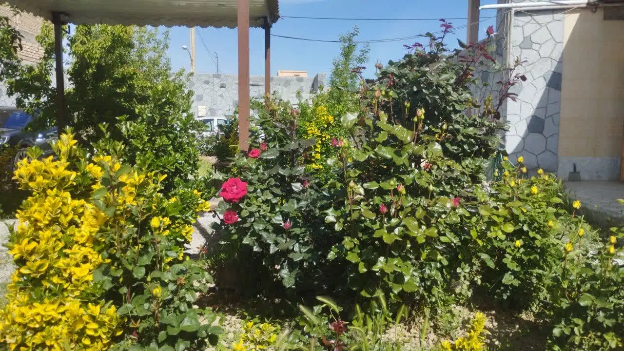 خونه باغی محله جوچی