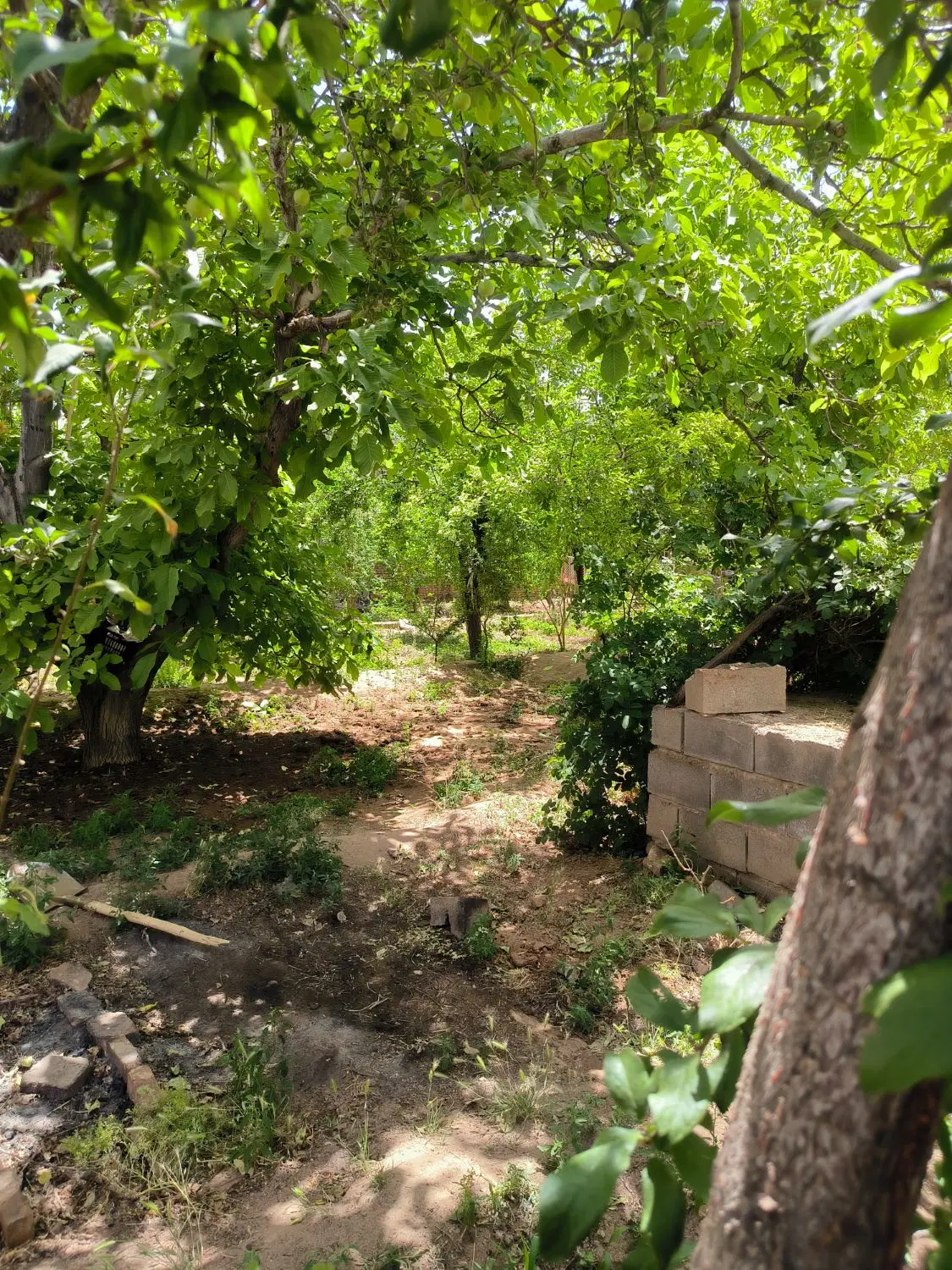 خانه باغ تنگ چنار