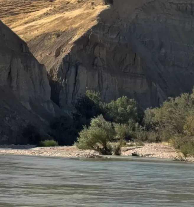 زمین زعفرانیه