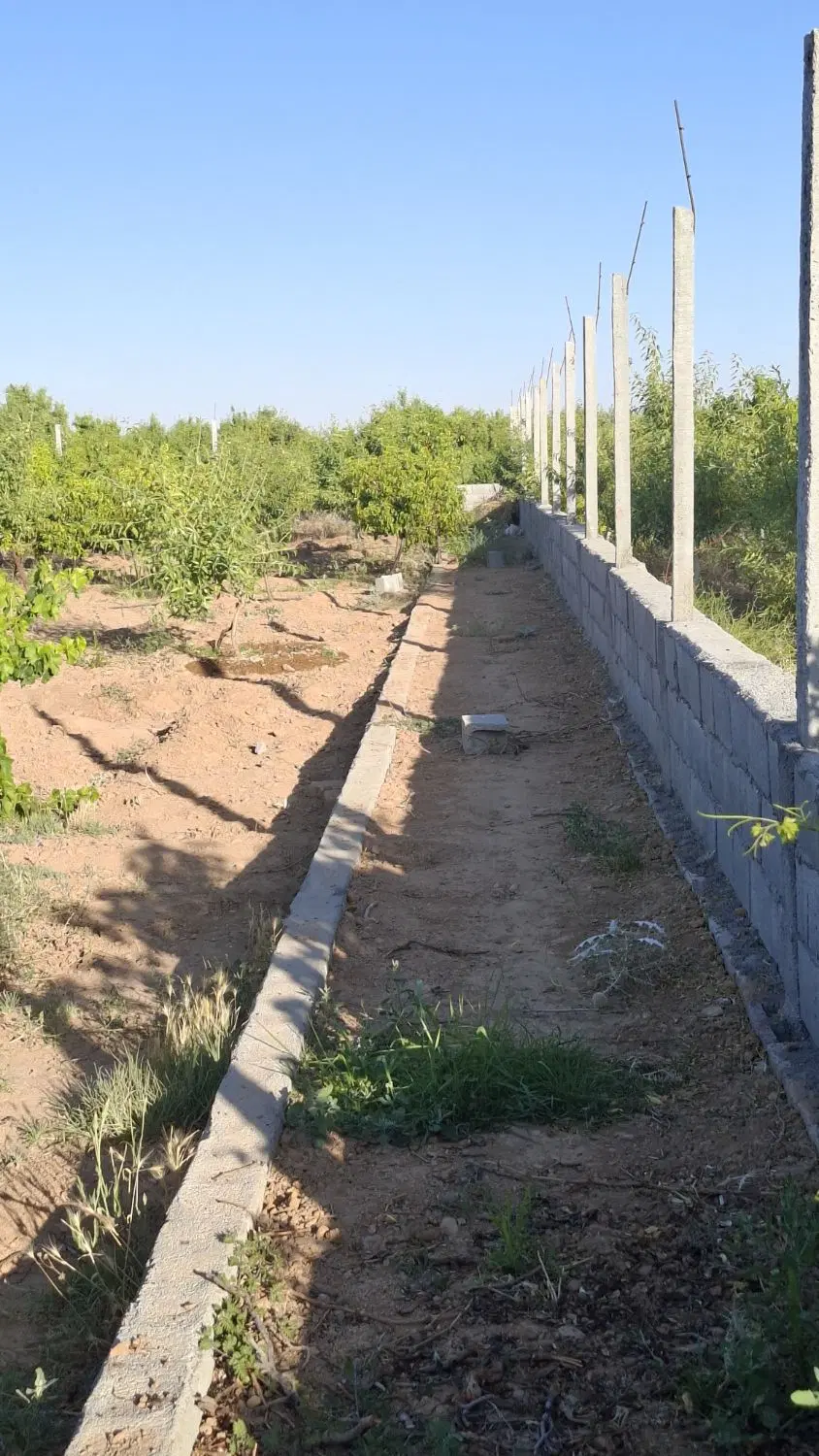 فروش زمین باغی ومزرعه