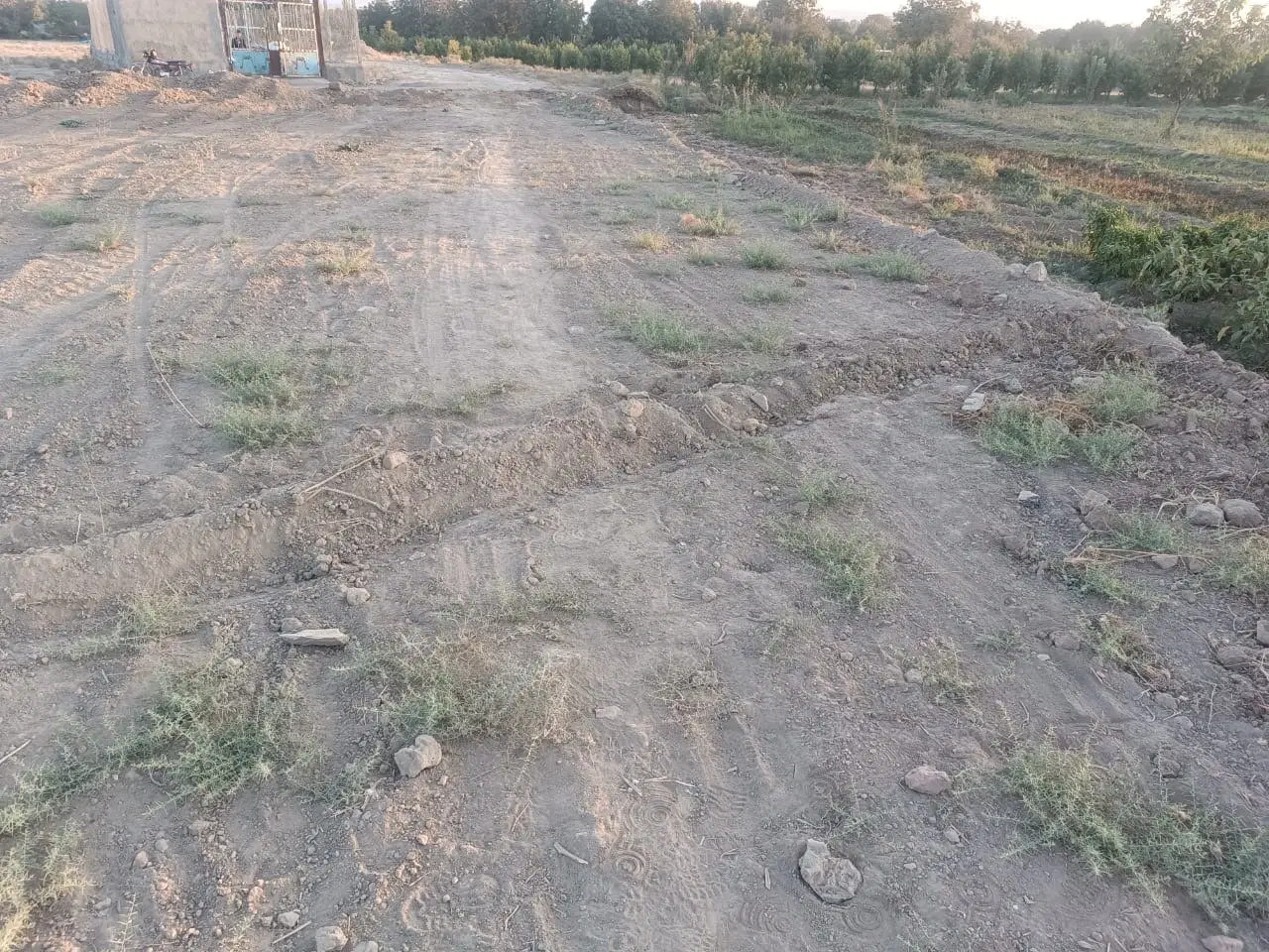 قطعه زمین زراعی
