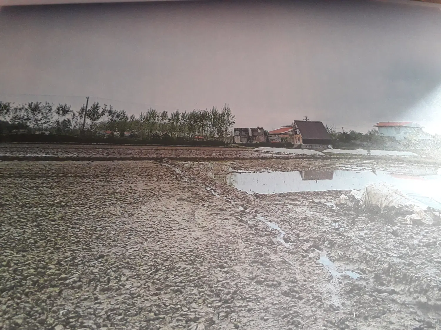 زمین مسکونی داخل طرح هادی