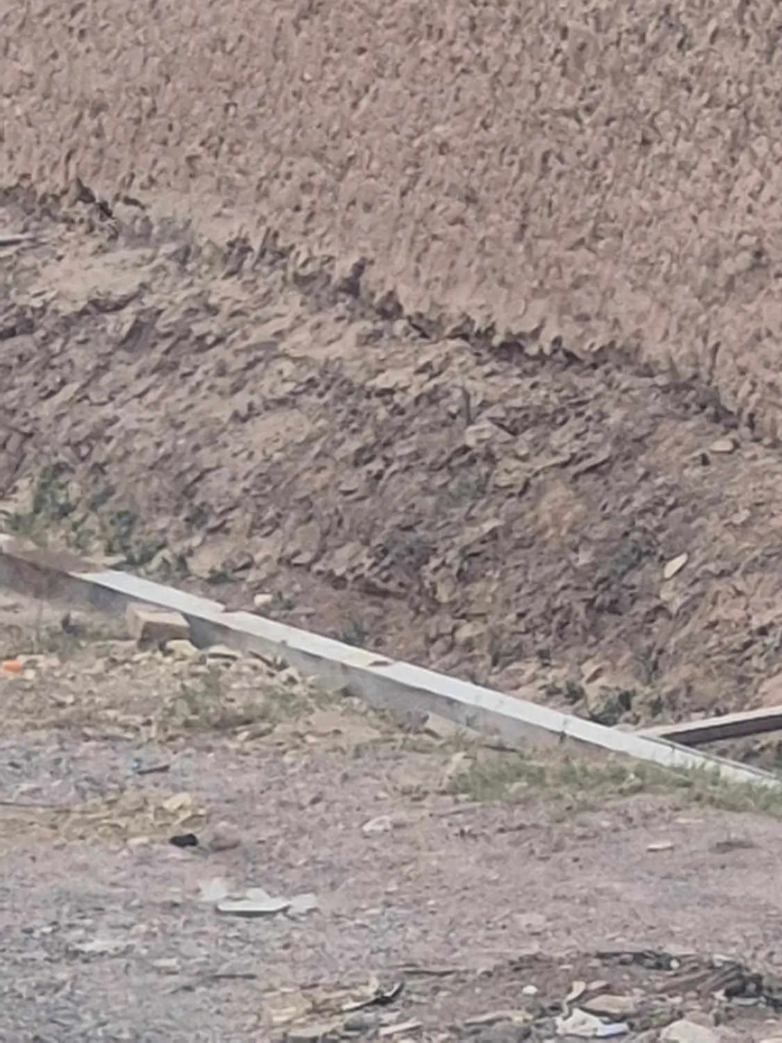 ملک اجاره ای