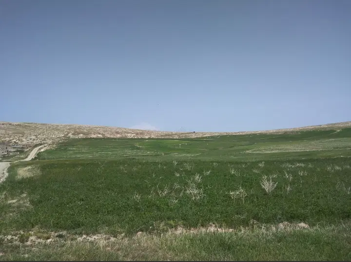 زمین زراعی سند دار بر راه اصلی روستای تکمه