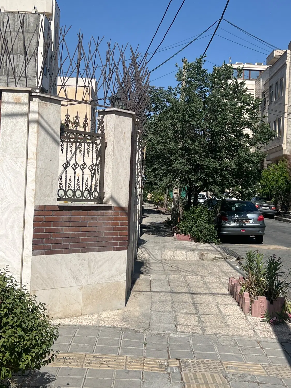 ملک دریاچه چیتگر