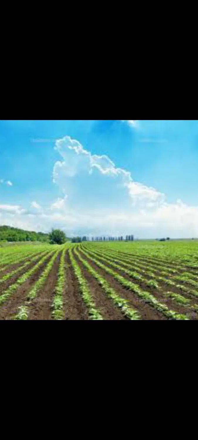 فروش زمین شهید خیراله بعد از کانال