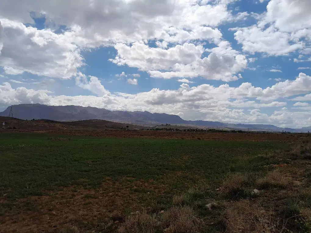 زمین نیاوران فاز ۲ منابع طبیعی صدرا