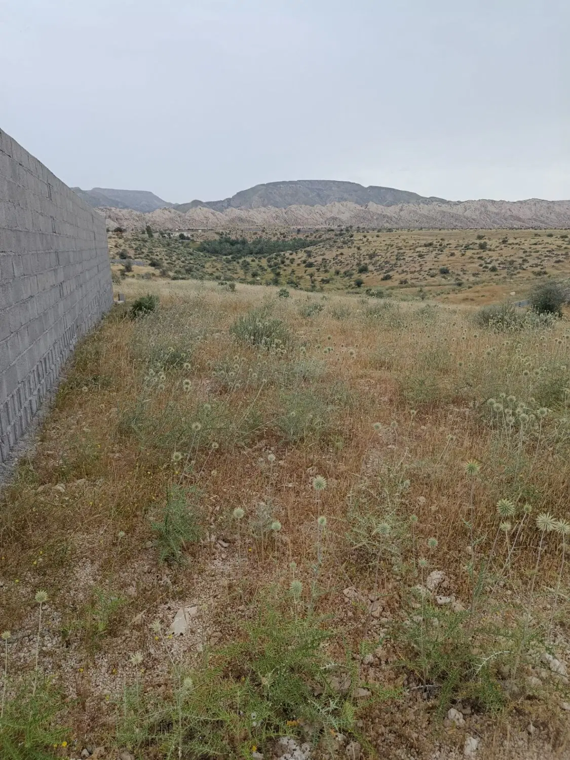 زمین در هنگدان سند ثبتی