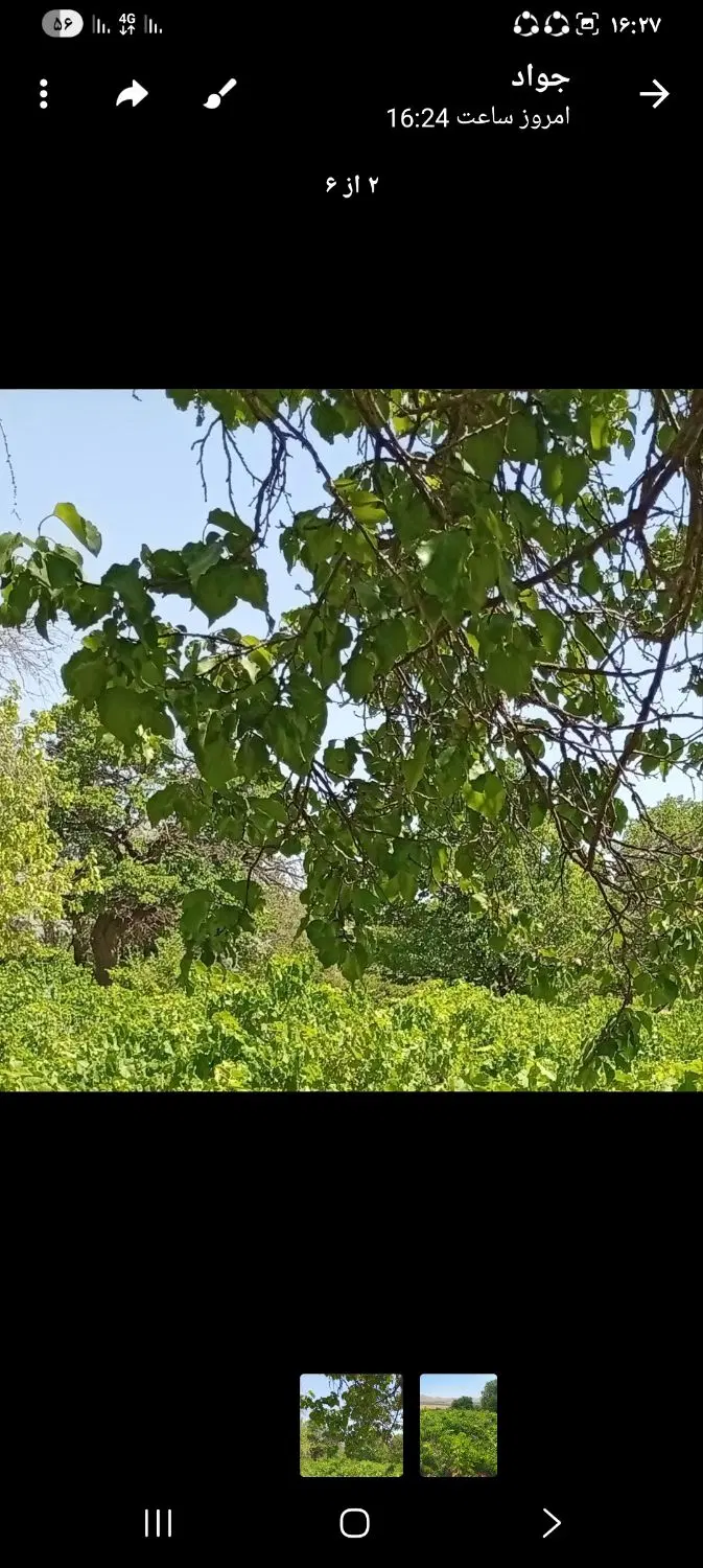 باغ و زمین مسکونی