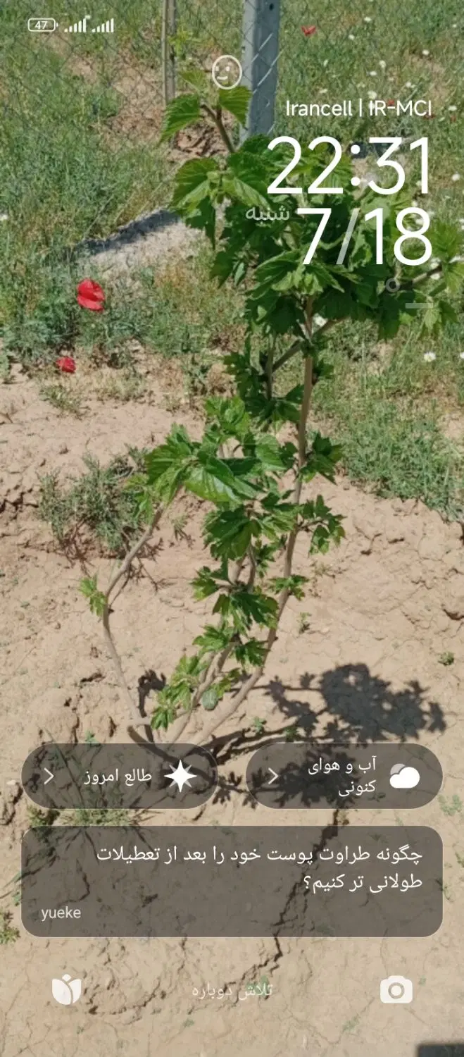 با سلام زمین 1500 متری شهرک عظیمیه