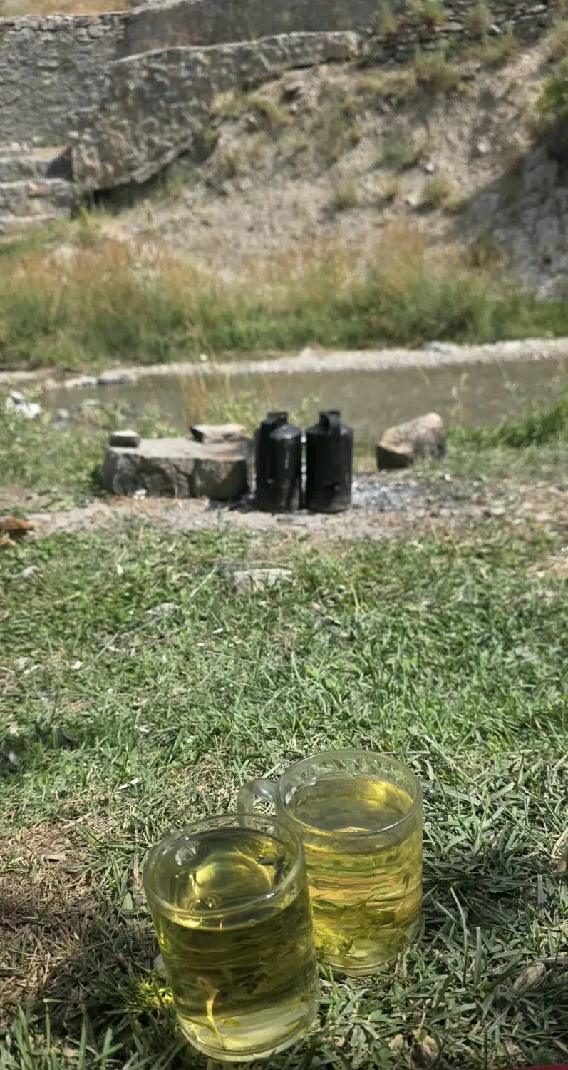 زمین باغی