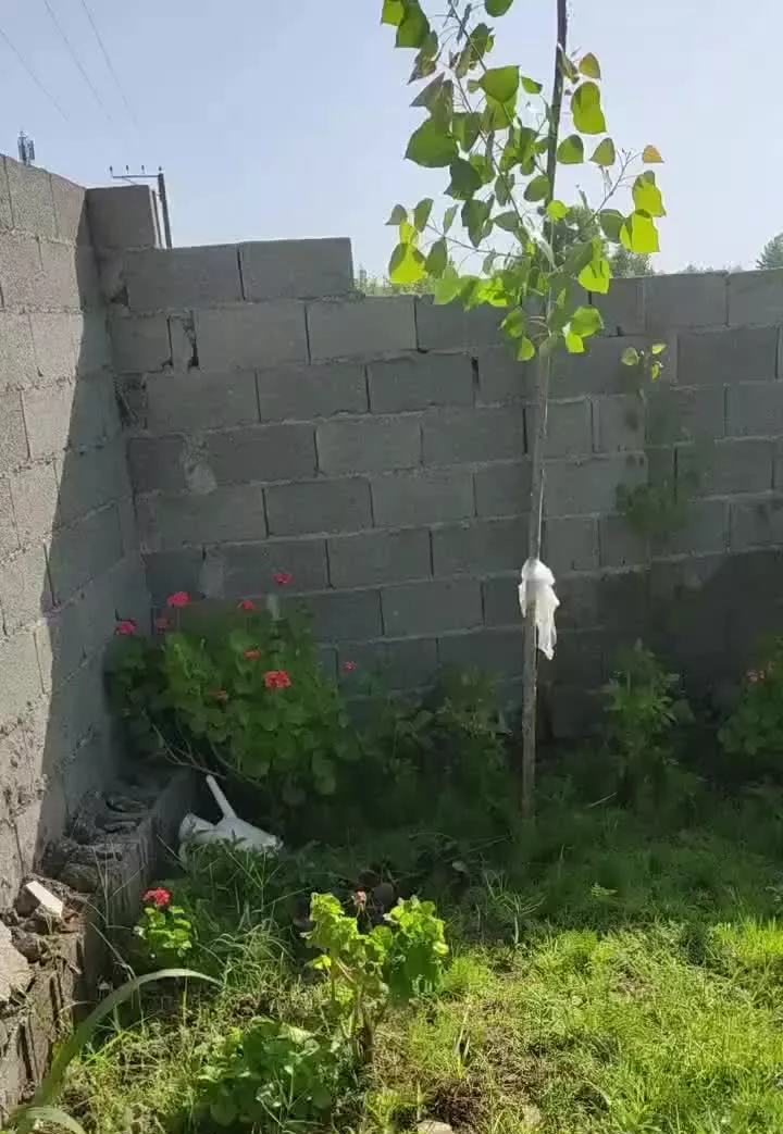 زمین منطقه آزاد انزلی ۷۳۱متر