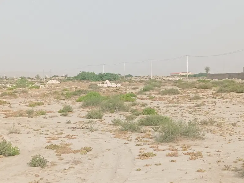 زمین زینبی