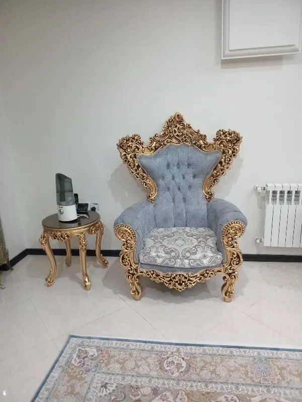همخانه خانم موجه