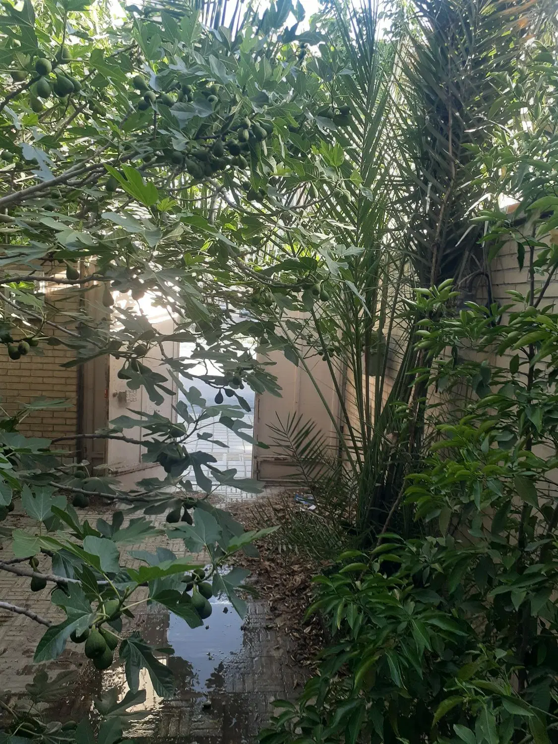واحد مسکونی بر خیابان مناسب مطب