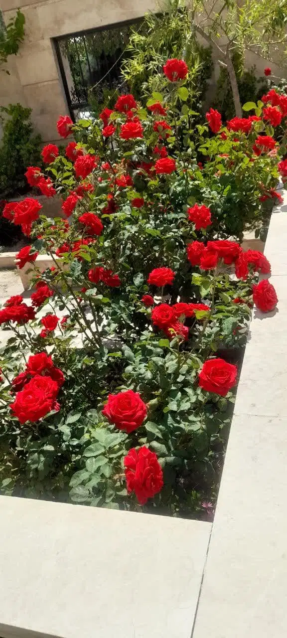 ۱۳۰متری ۳خواب حاشیه الهیه