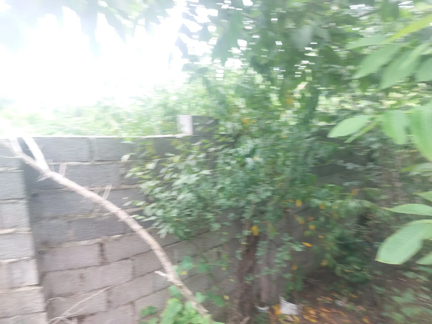 ۲۵۰‌متری‌کوجصفهان لولمان