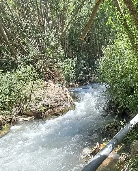 زمین ویلایی کوهمال