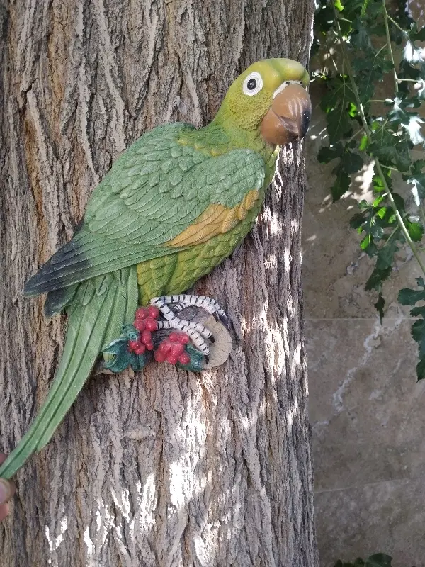 باغچه ۳۴۰ متری معاوضه با متراژ بزرگتر