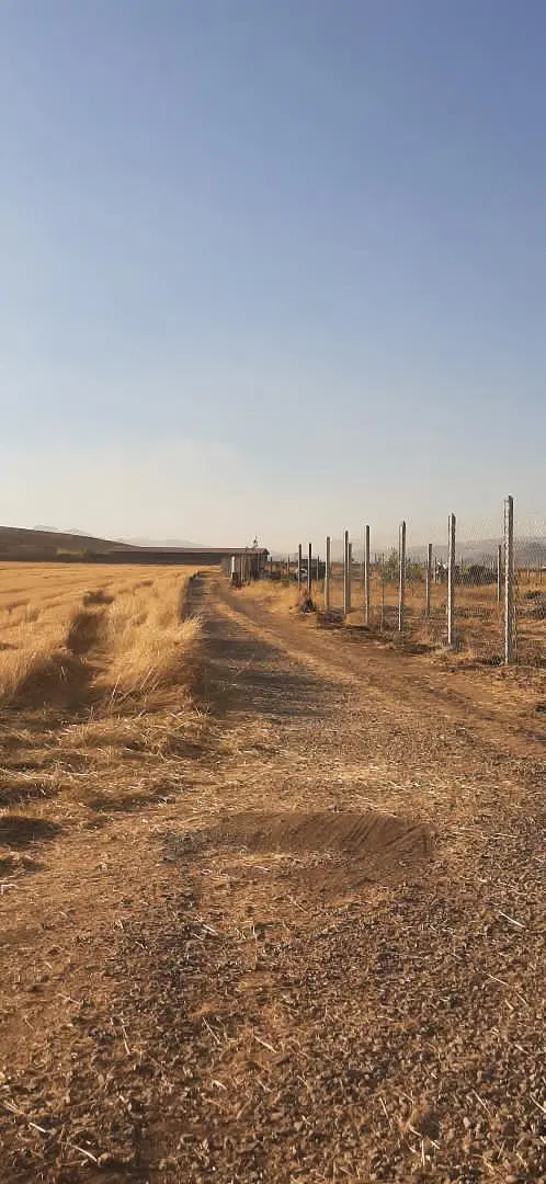 زمین ۶۵۰متری روستای عمرمل
