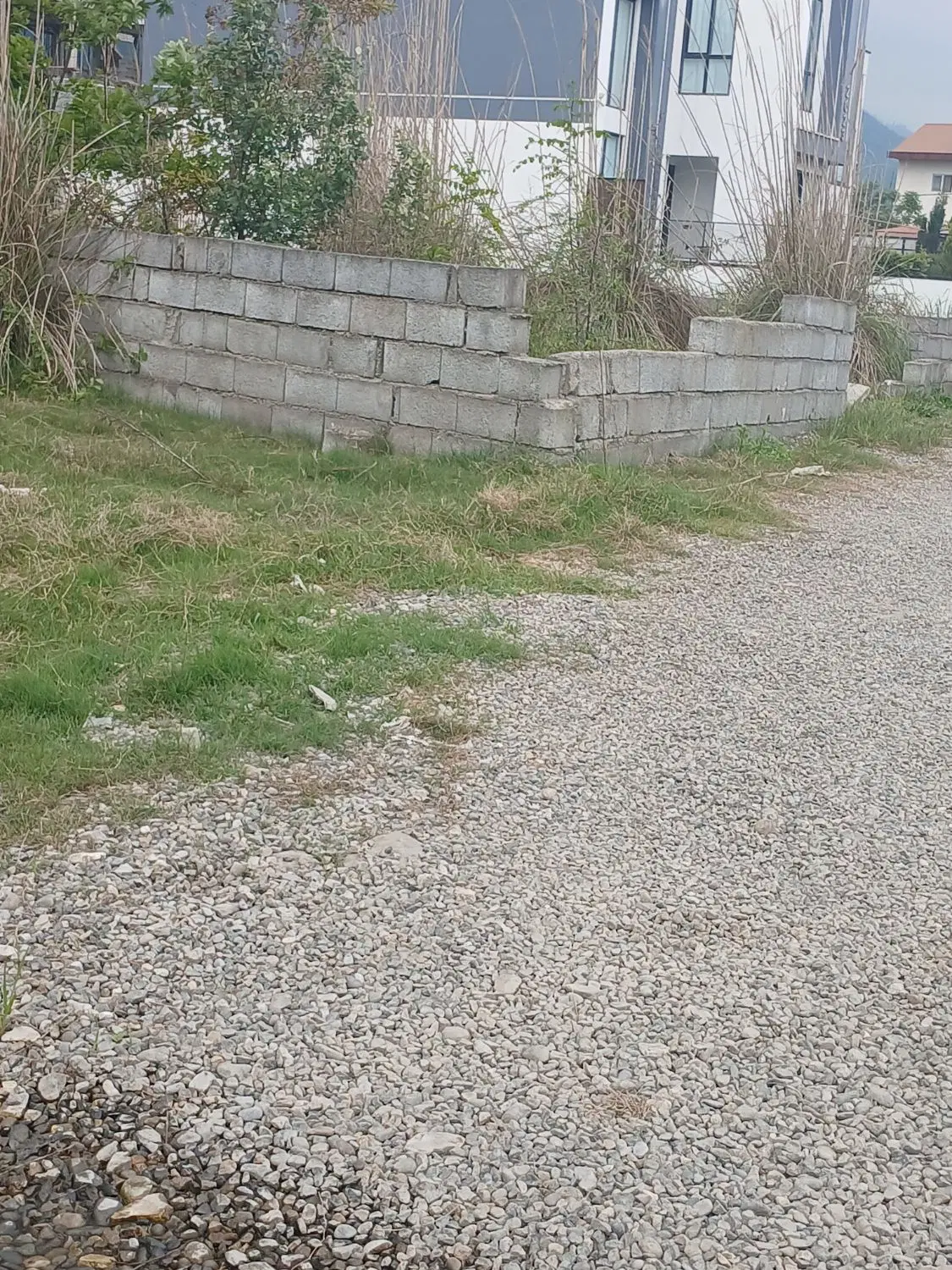۲۵۰متر زمین سند ششدانگ رامسر