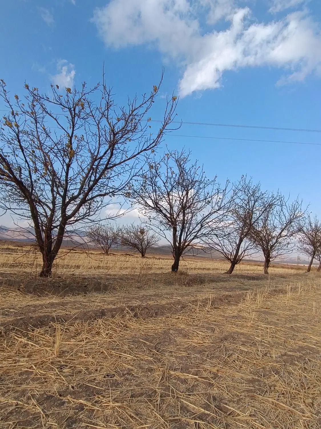 زمین حدود ۱۰۰۰ متر