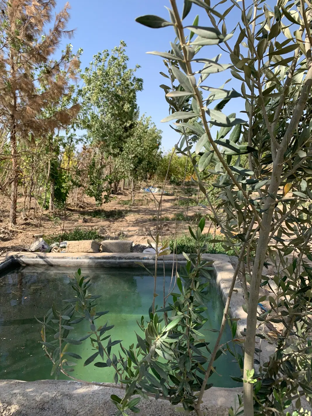 باغچه 600متری دارای سهمیه آب هفتگی