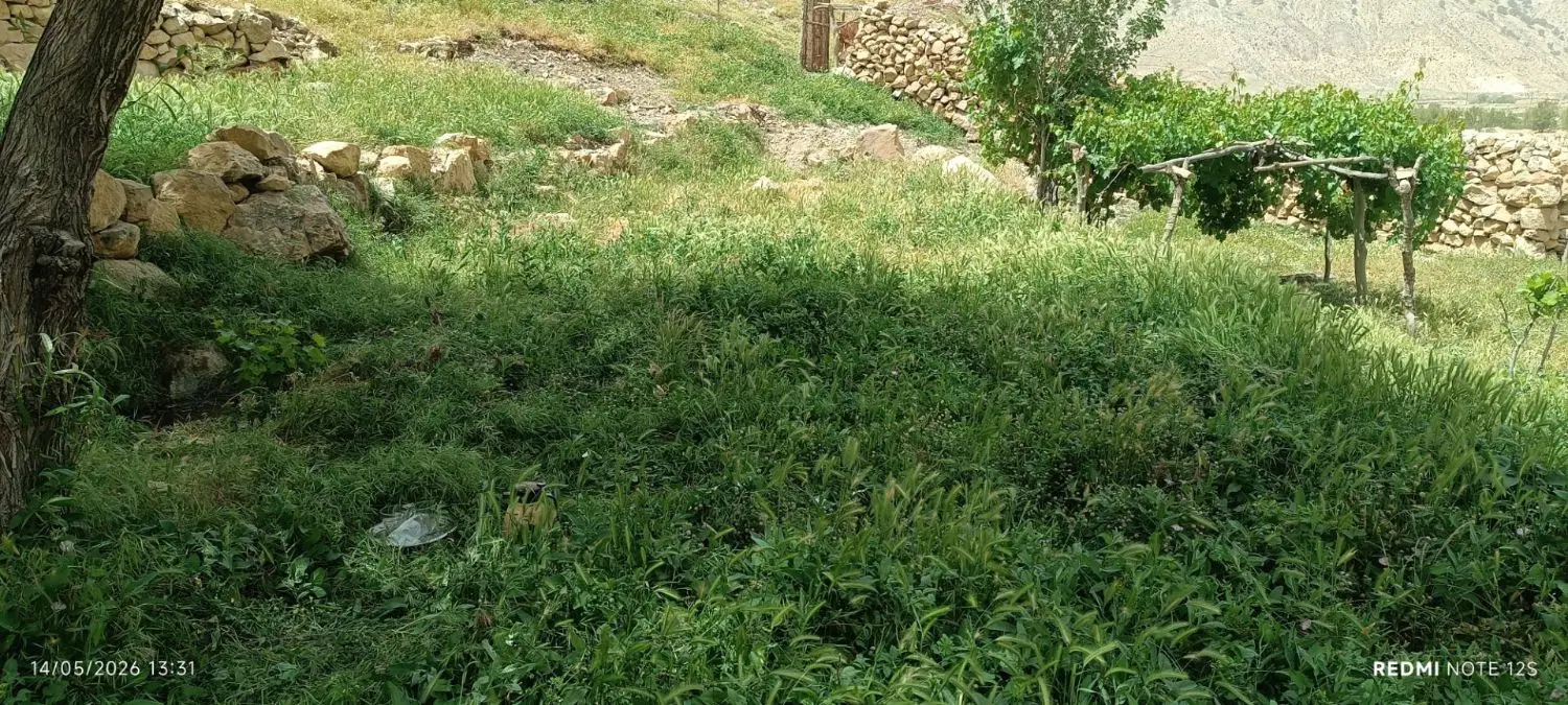 زمین مسکونی