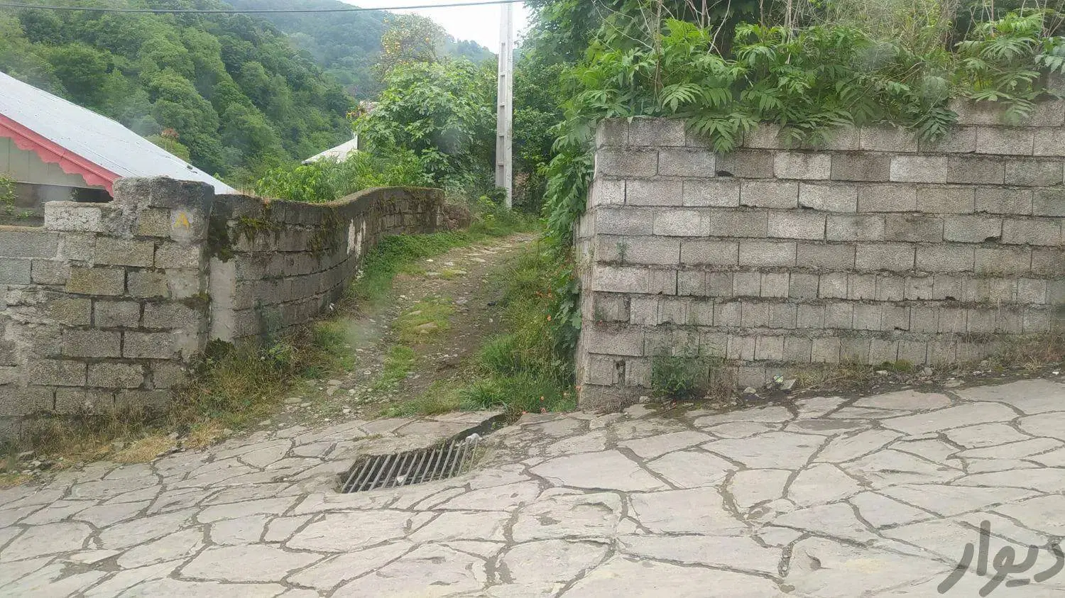 دو قطعه زمین مسکونی نزدیک به هم در روستای دیوشل
