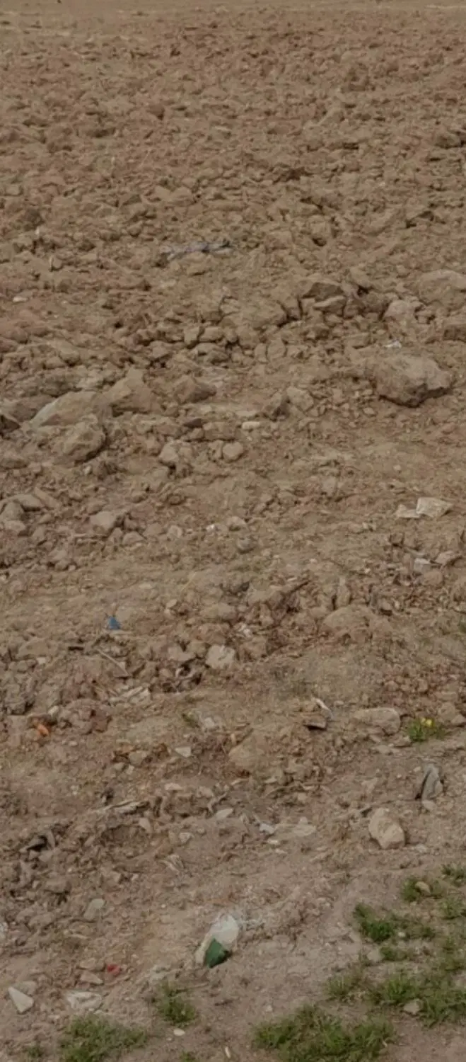 اجاره زمین زراعی 14طناب