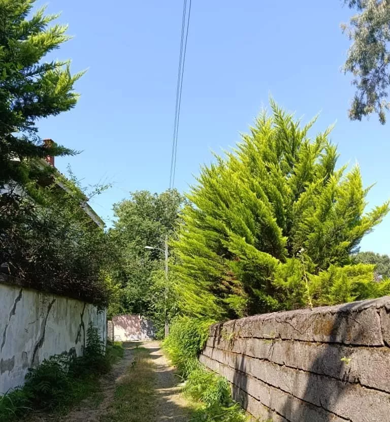 زمین ۳۵۰متر _مرزن آباد_روستای کلاک