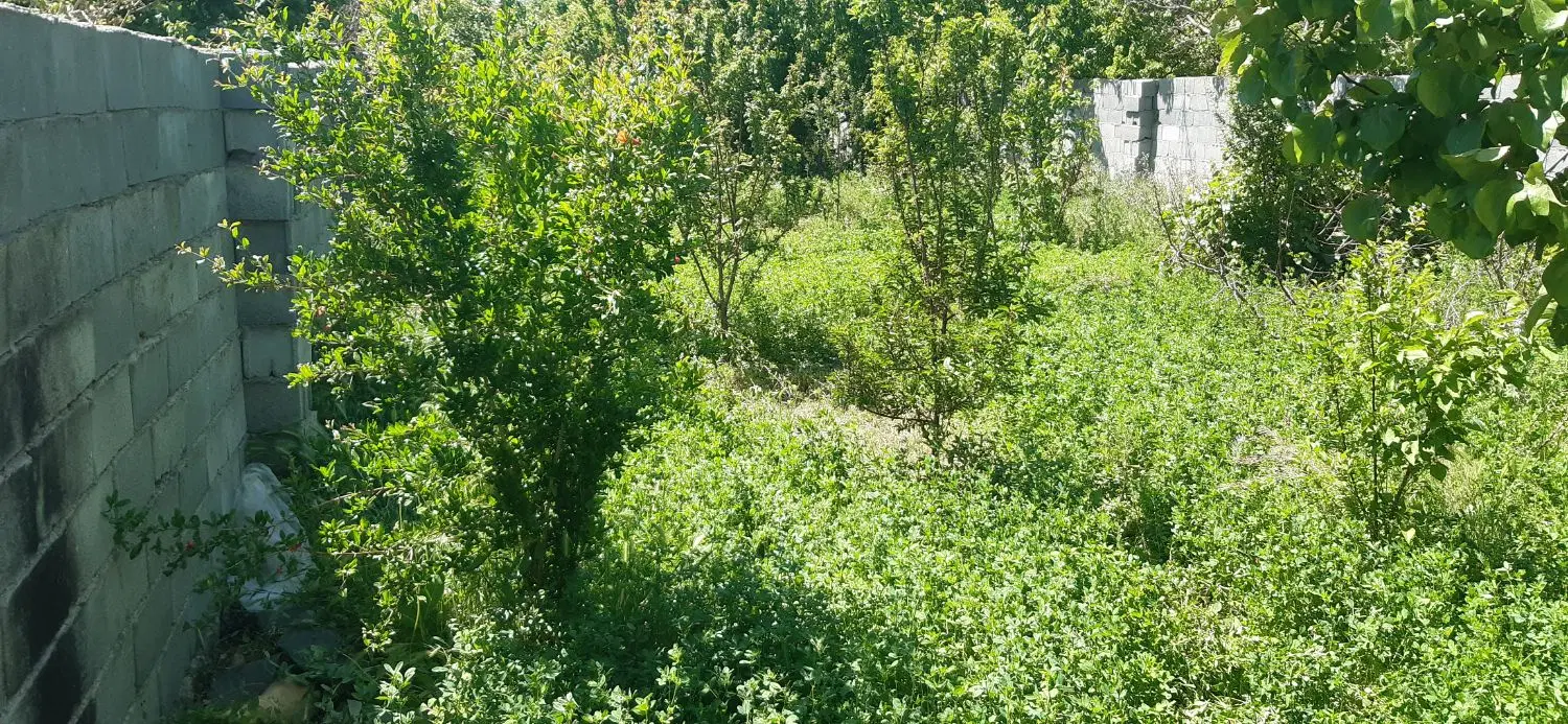 باغ چهاردیواری برکان ازوار