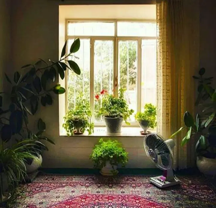 ملک کلنگی پیروزی۱۱۰متر بلوار نیکنام