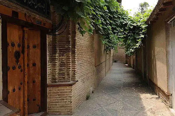 همخانه همخونه