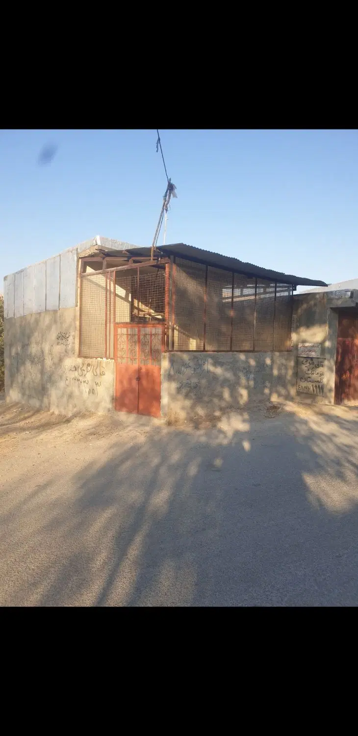 مغازه بیدسرخ