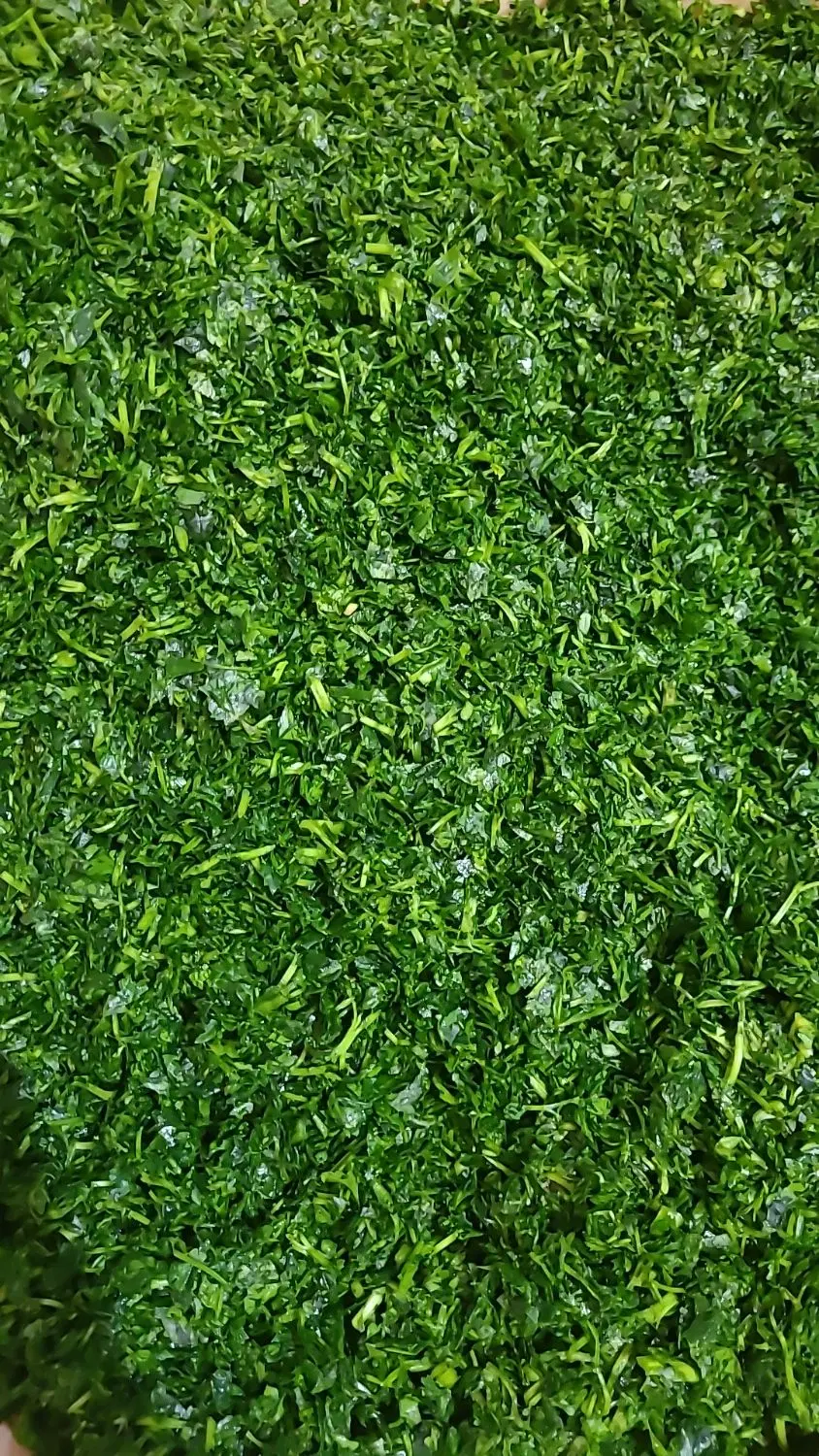 زمین زراعی
