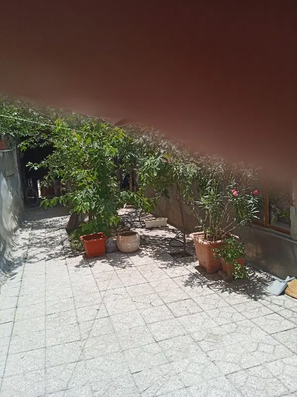 فروش زمین