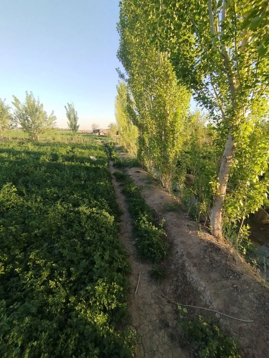 فروش باغچه گلحصار فوری