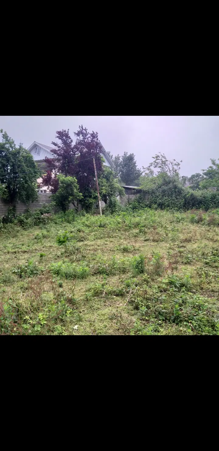 زمین باغی داخل طرح ،روستای نفوت