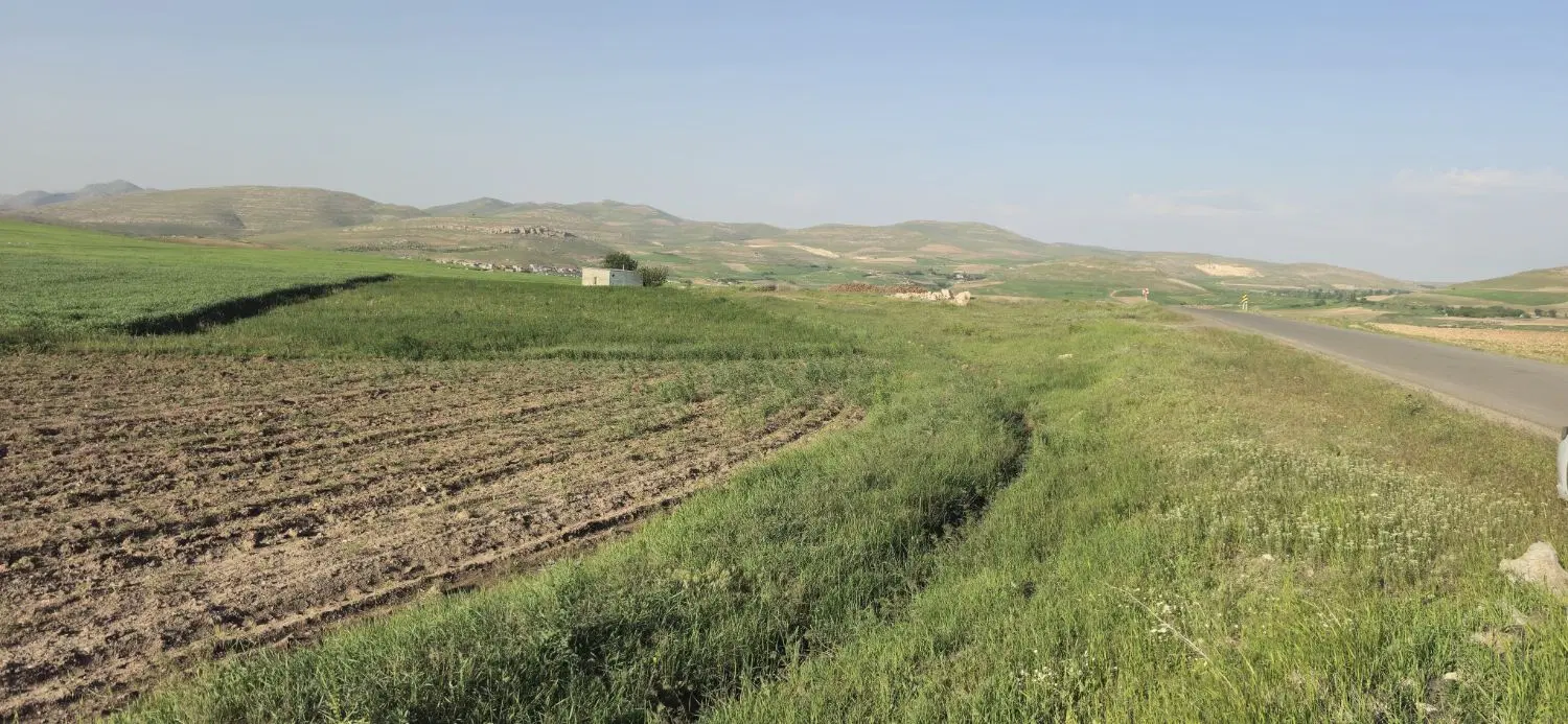 فروش زمین کشاورزی مناسب خانه باغ
