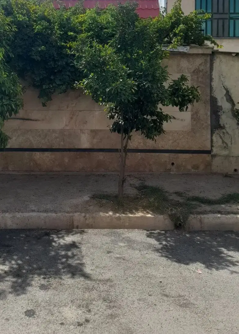 ملک ۱۸۰ متری بازار