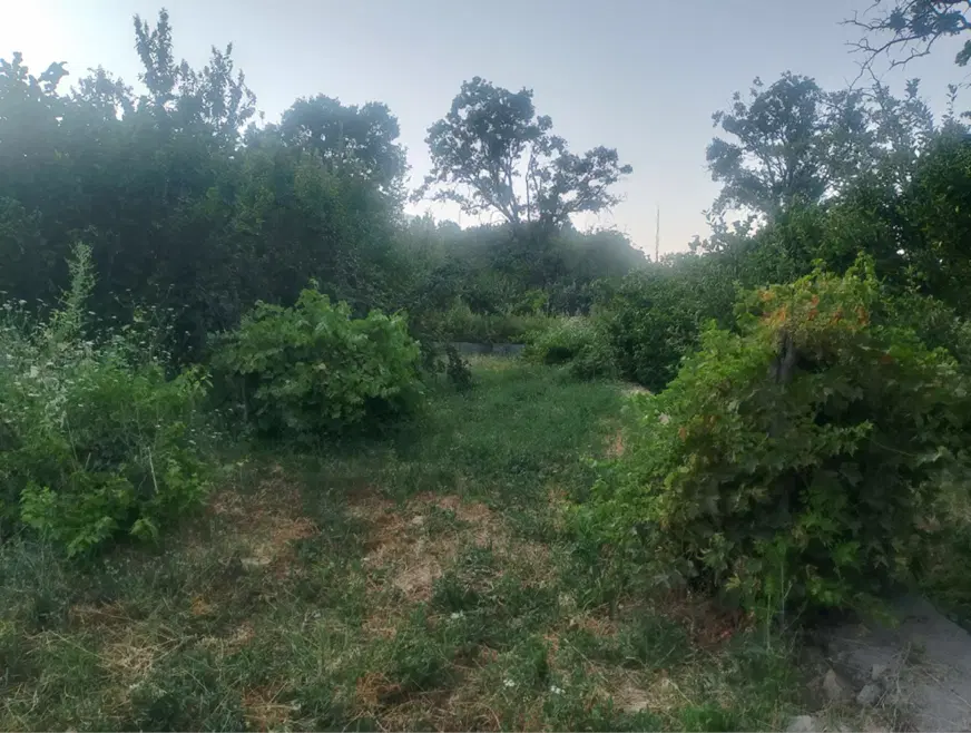 فروش باغچه سرسبز در روستای ده برآفتاب