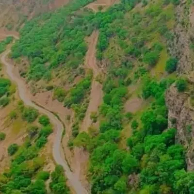 اجاره یک هکتار زمین