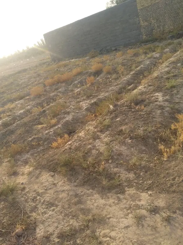 زمین حاجی اباد عدالت ۶