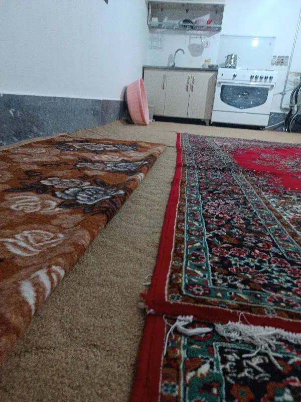 همخونه