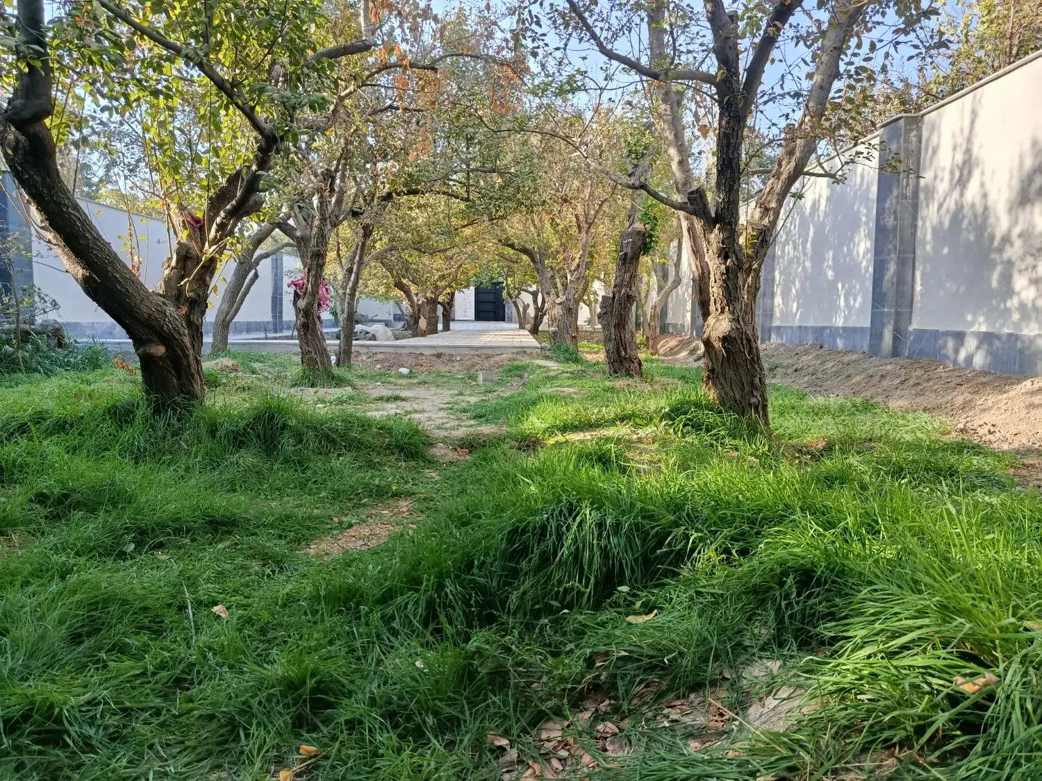 ملک 500متری