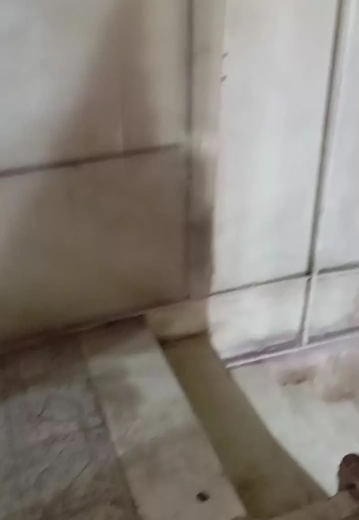خانه اجاره شهرک صافکاران